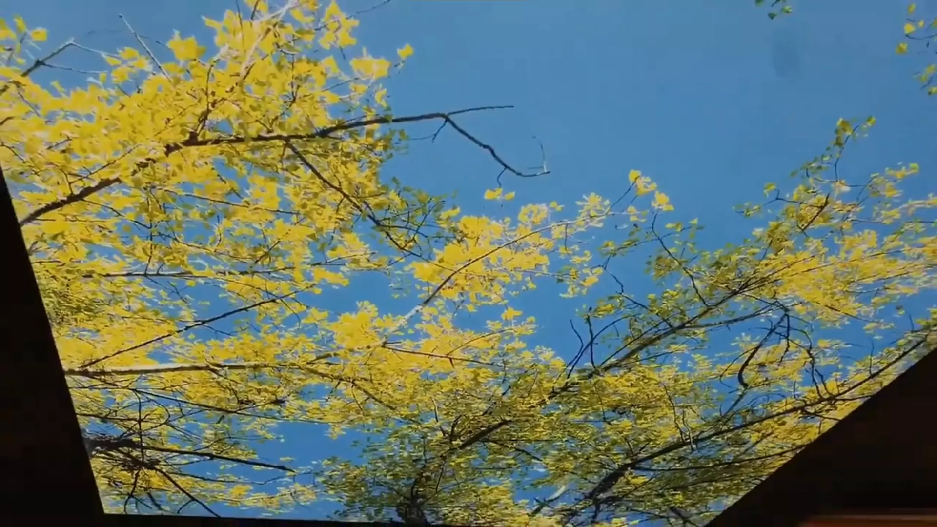 Челябинск, Шагольская 1-й квартал, 6, фото 2