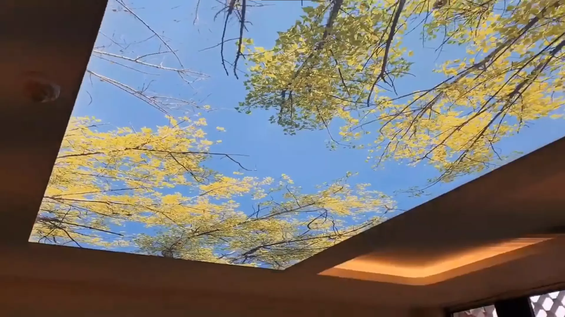 Челябинск, Шагольская 1-й квартал, 6, фото 3